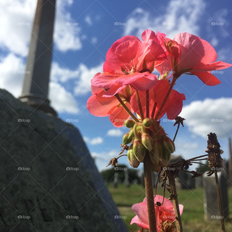 Strength comes from growth