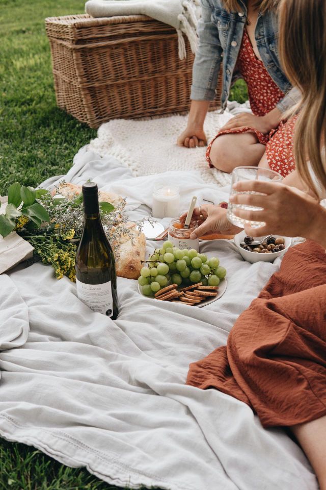 picnic with friends