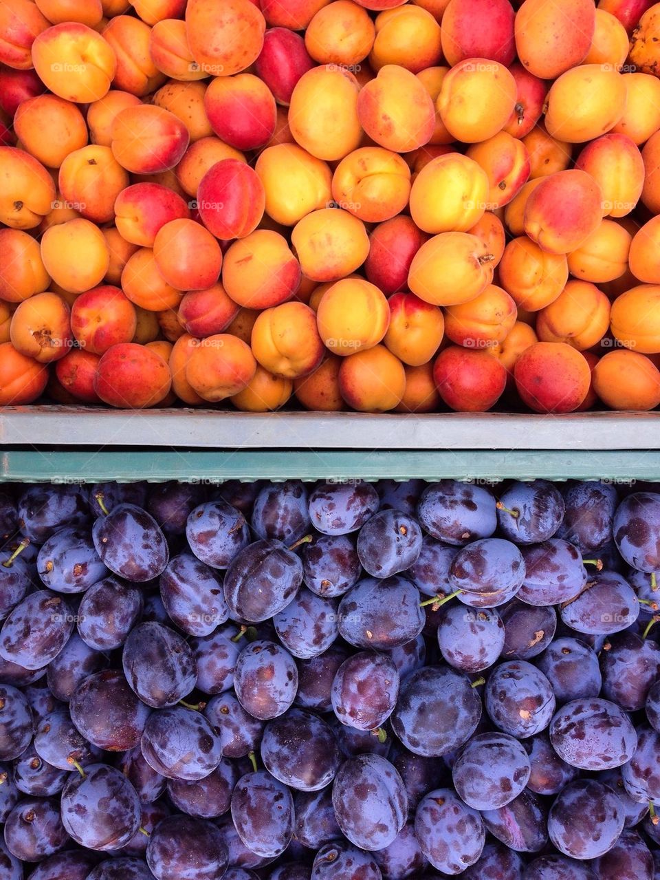 High angle view of fruits