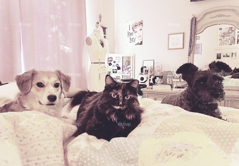 Penny Lane, Cassiopeia, and Sophie are best friends!