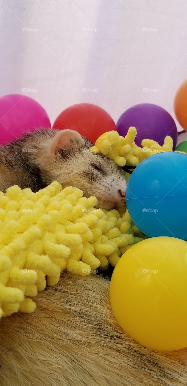 Asleep in the Ball Pit.