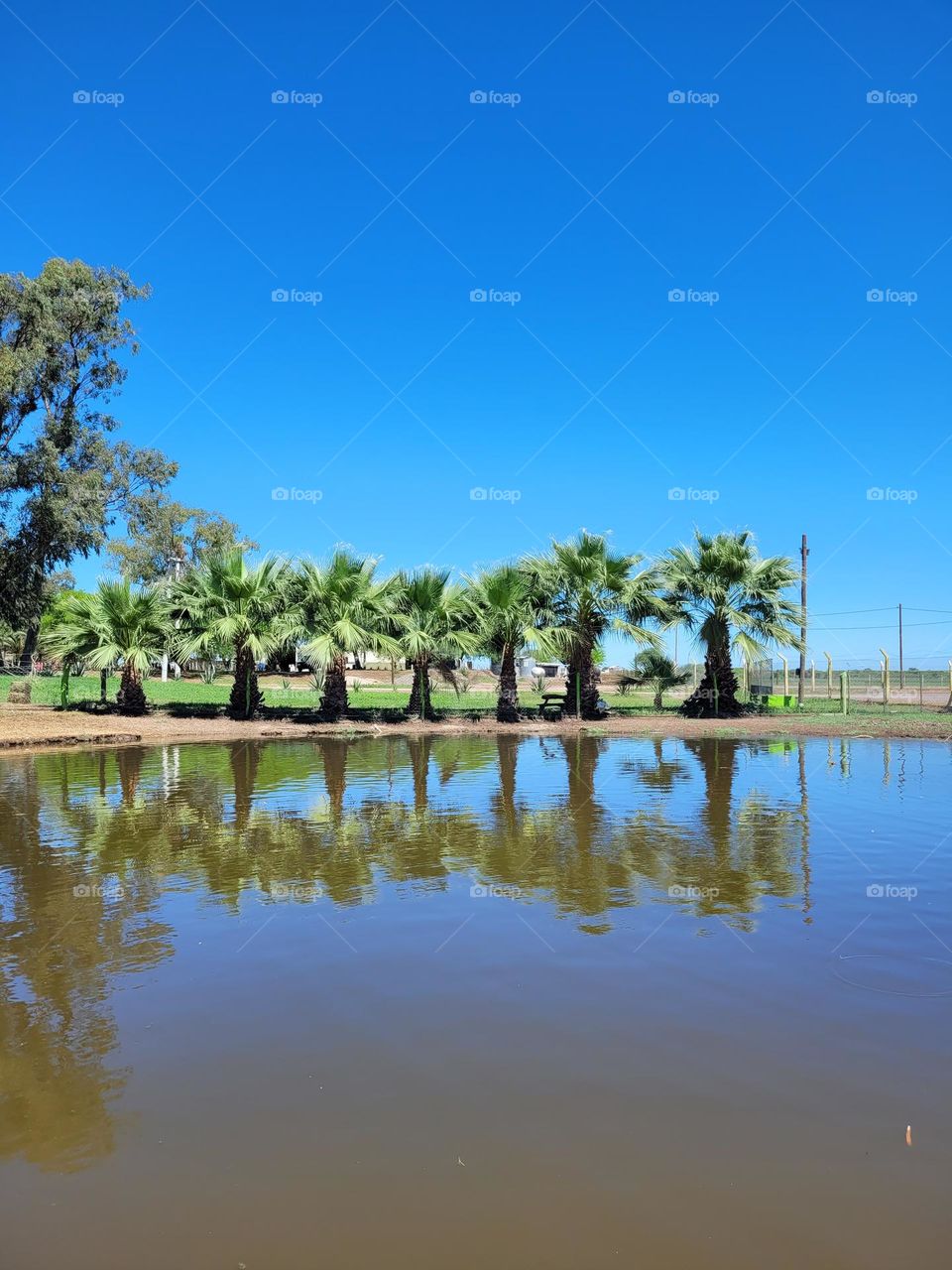 a landscape from northern Argentina