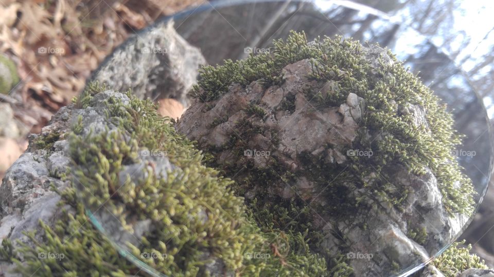 Mossy Rock Reflections