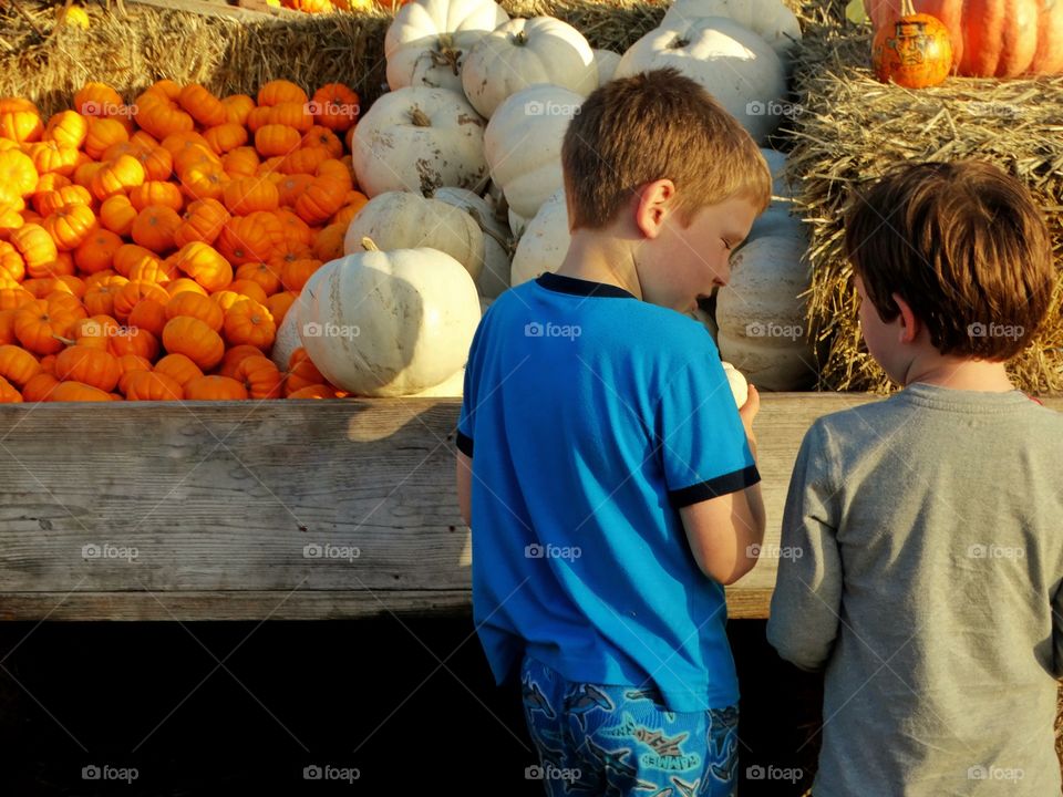 Young Boys At The Pumpkin Patch
