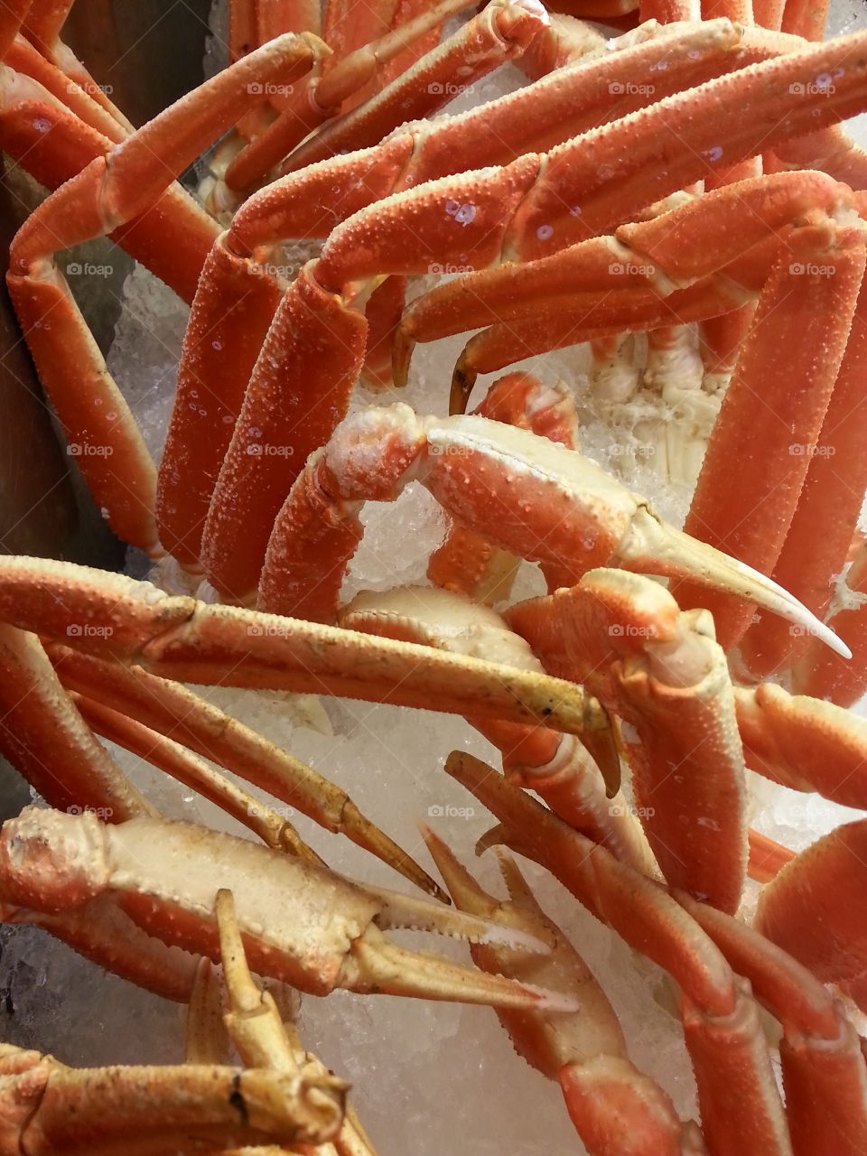crab. seafood