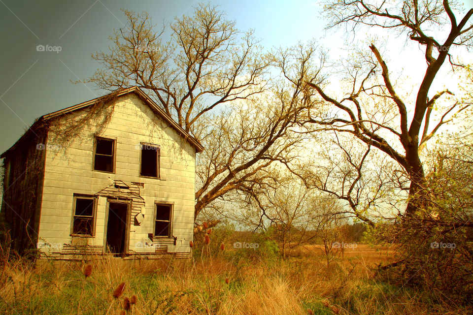 Take the Nostalgic Way Home ( Series )