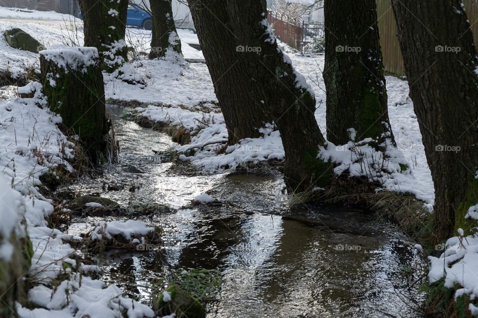 brook during winter