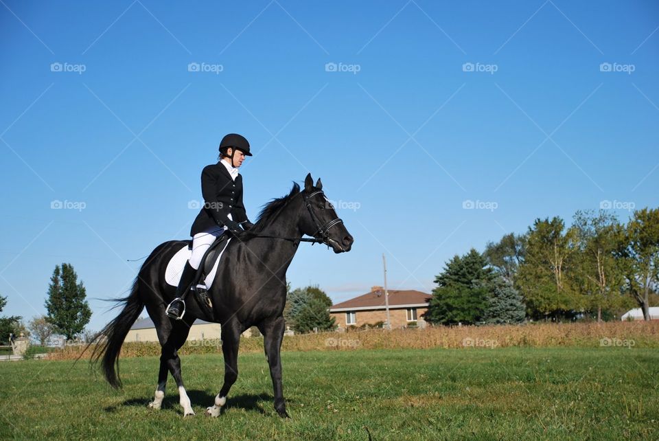 Blacjbeauty. A beautiful black horse at a dressage show 