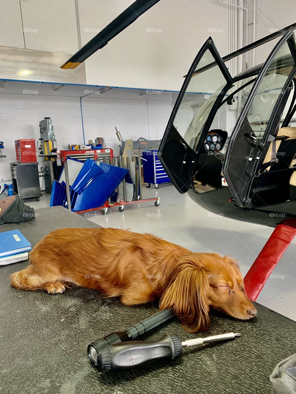 Sleeping on the job 😂