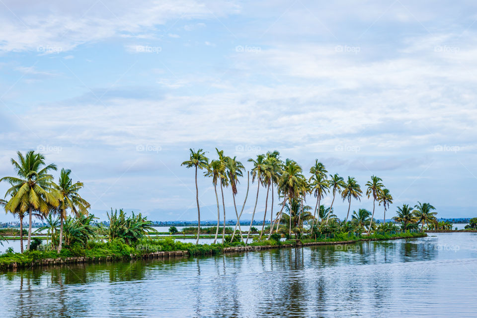 Alappuzha Lake