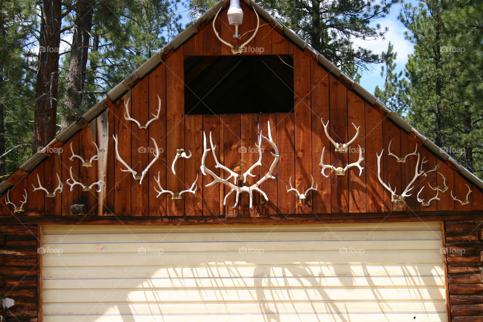 Horn racks on cabin