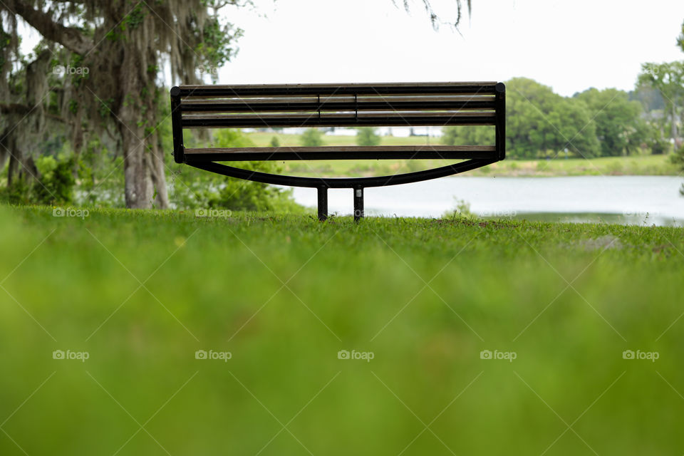 Bench by the lake in green and mushy lands of Florida