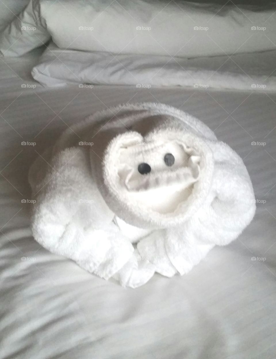 Carnival Cruise - Towel Critters