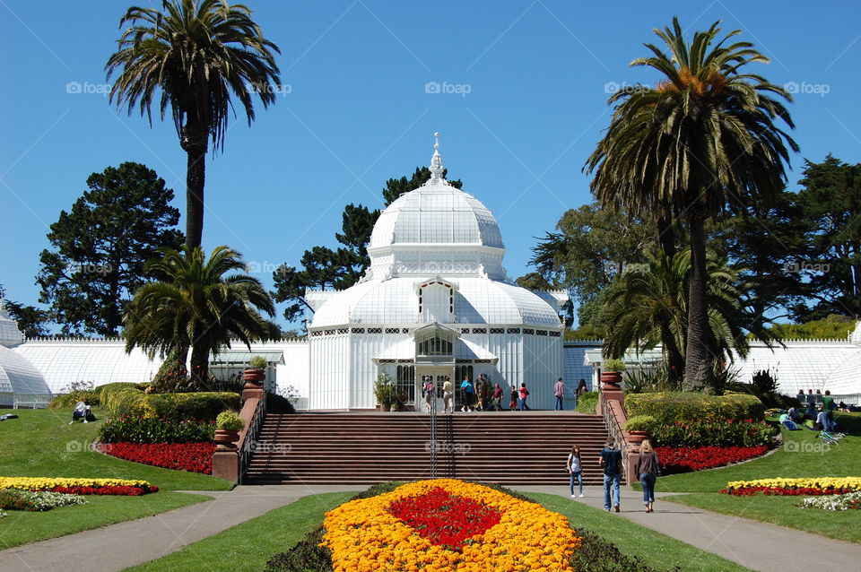 San Francisco botanical gardens 