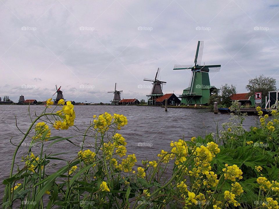 Summer holiday in holland