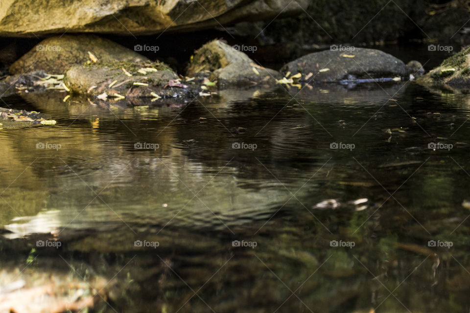 Walking through the mountains, found a river