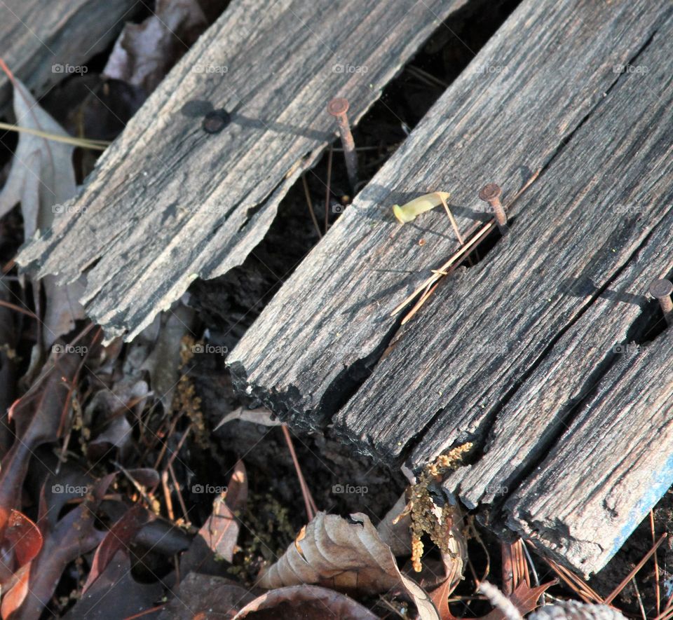 weathered crate, nature reclaiming.