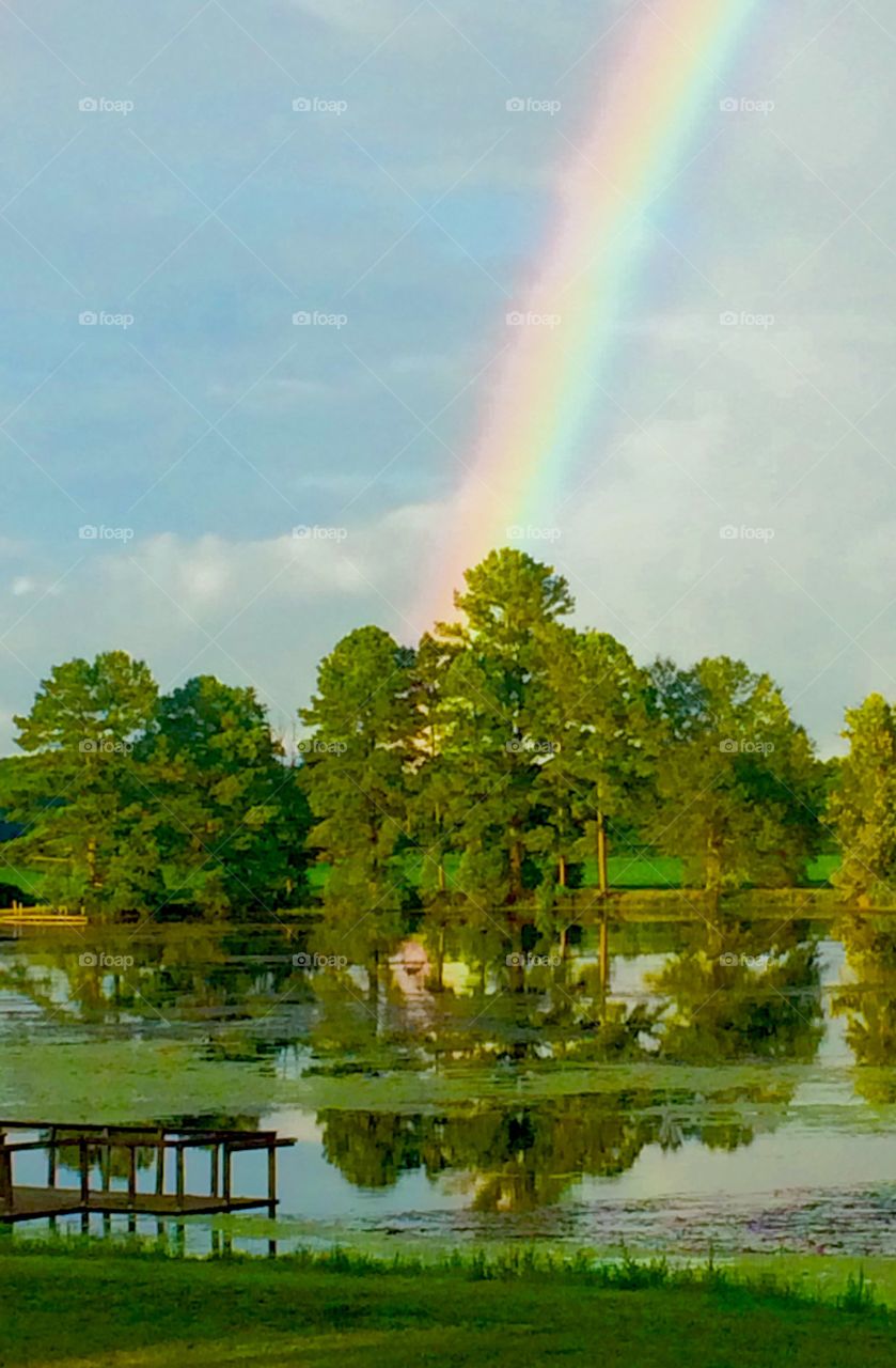 Rainbow over pond 