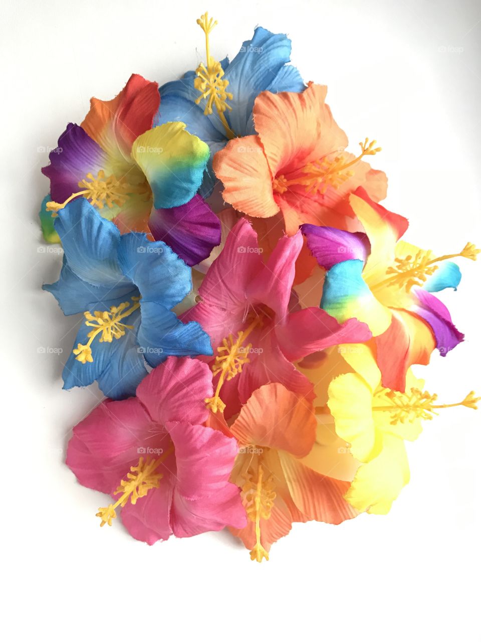 Bright multicolored flowers on a white background. Lily, hibiscus, stamen, pistil, petal. Blue flower. Yellow flower. Pink flower. Orange flower. Color love.