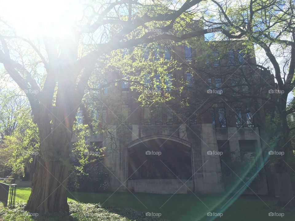 Vanderbilt university in Nashville 