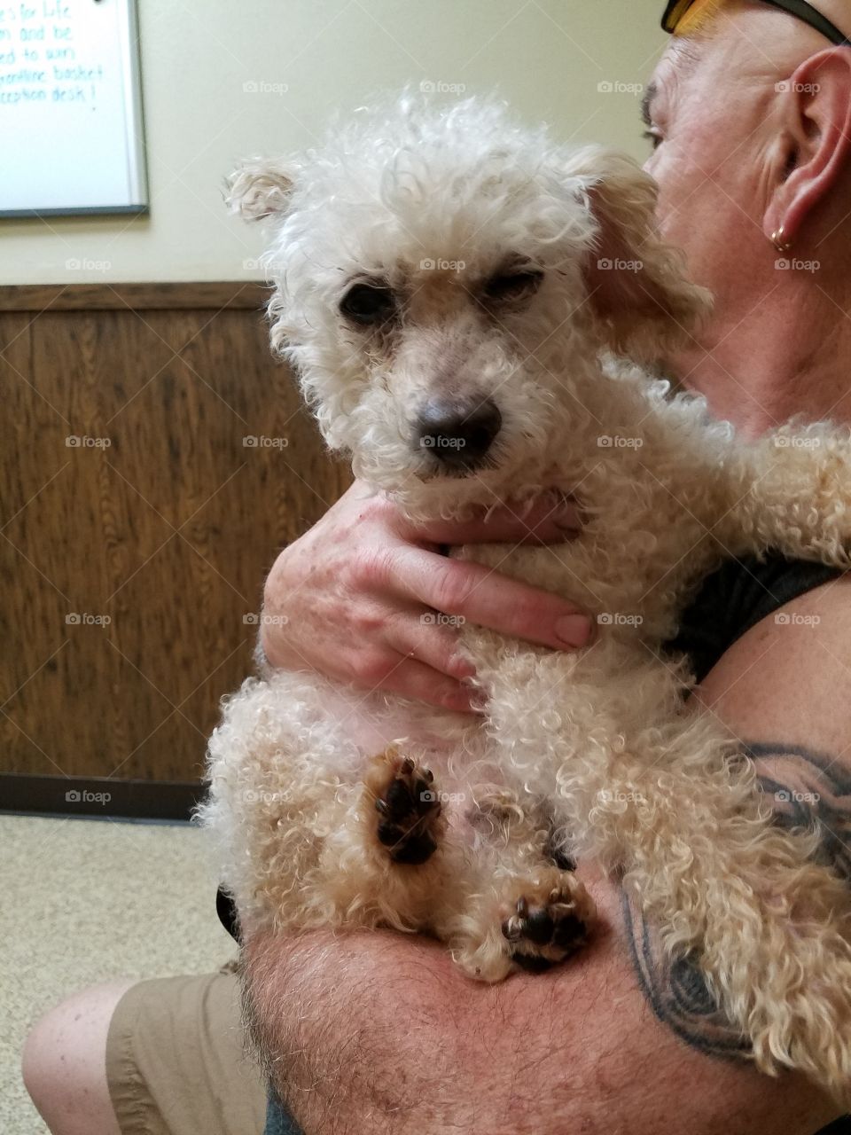Waiting Room at the Veterinary Office, Doggie Checkup