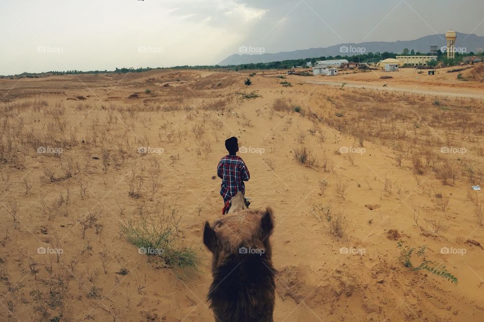 Camel Ride with an incoming sand storm
