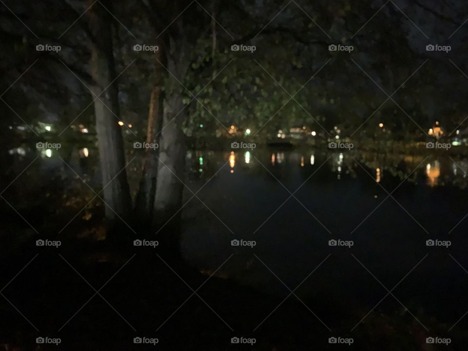 Nighttime by the lake