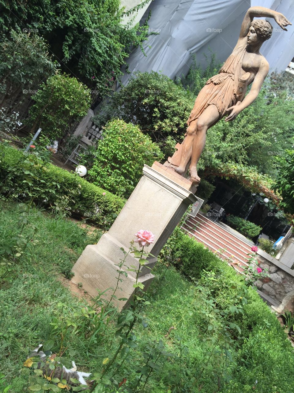 Cats and roses amongst the sculpture 