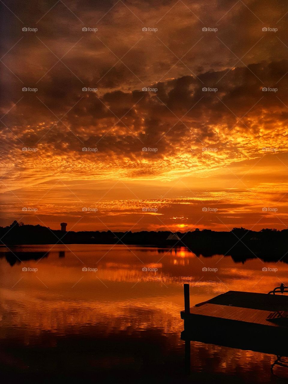 A golden orange sunrise above the lake at Cranes Roost Park in Altamonte Springs, Florida.