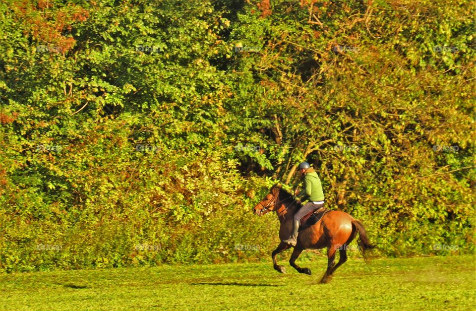 Horseriding