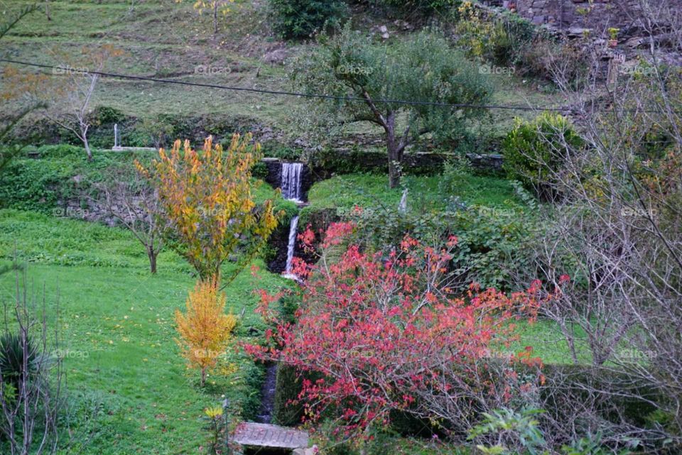 Nature#trees#leaves#colors#autumn#water