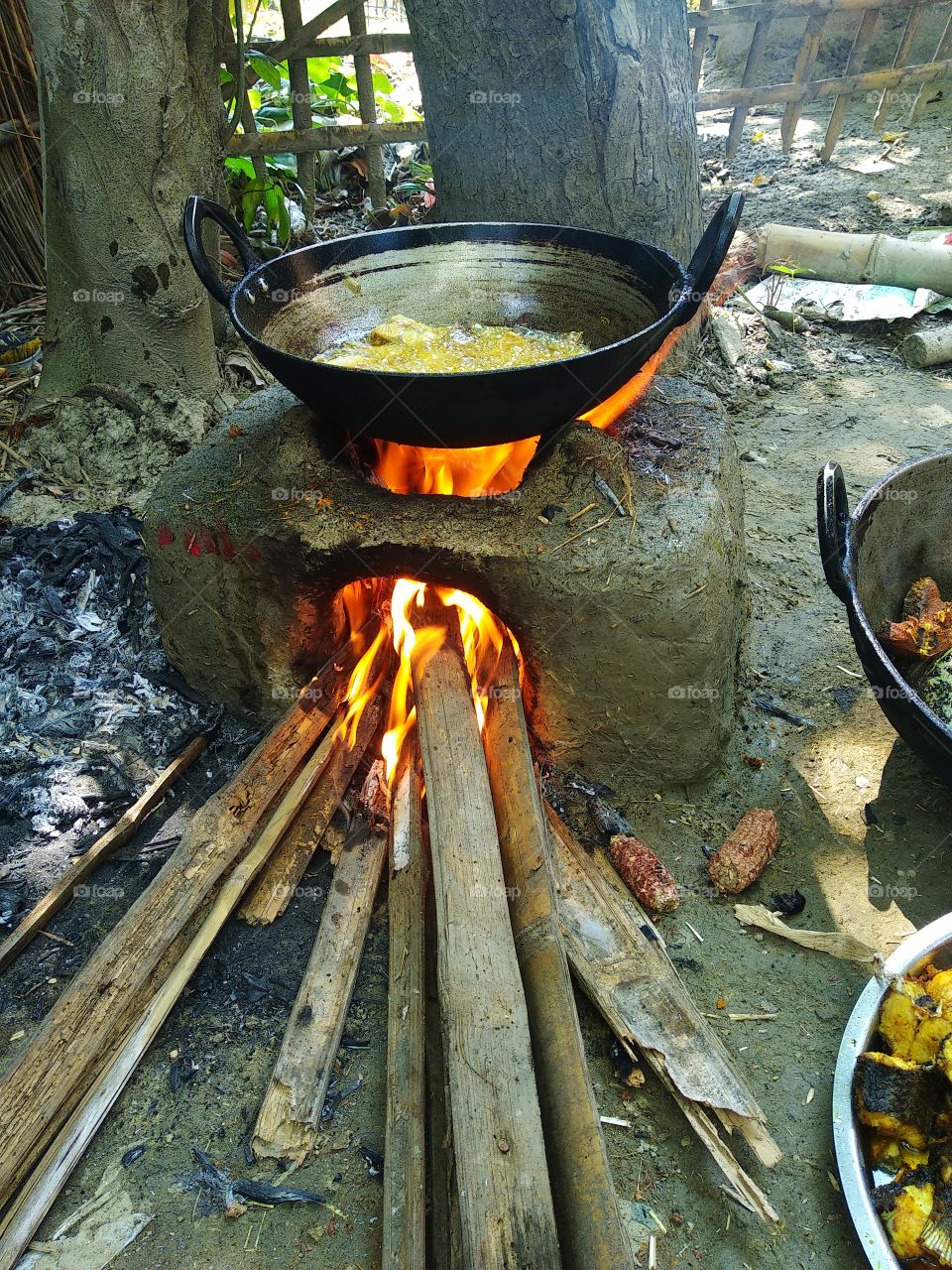 making fish curry at picnic spot in a forest farmhouse .