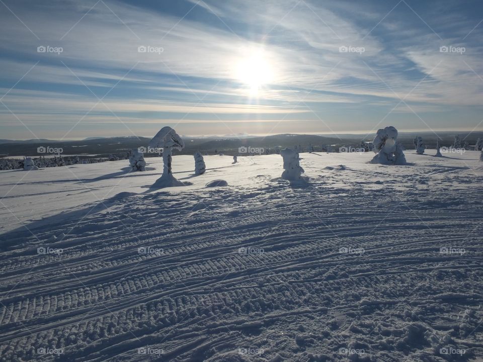 Frozen landscape 