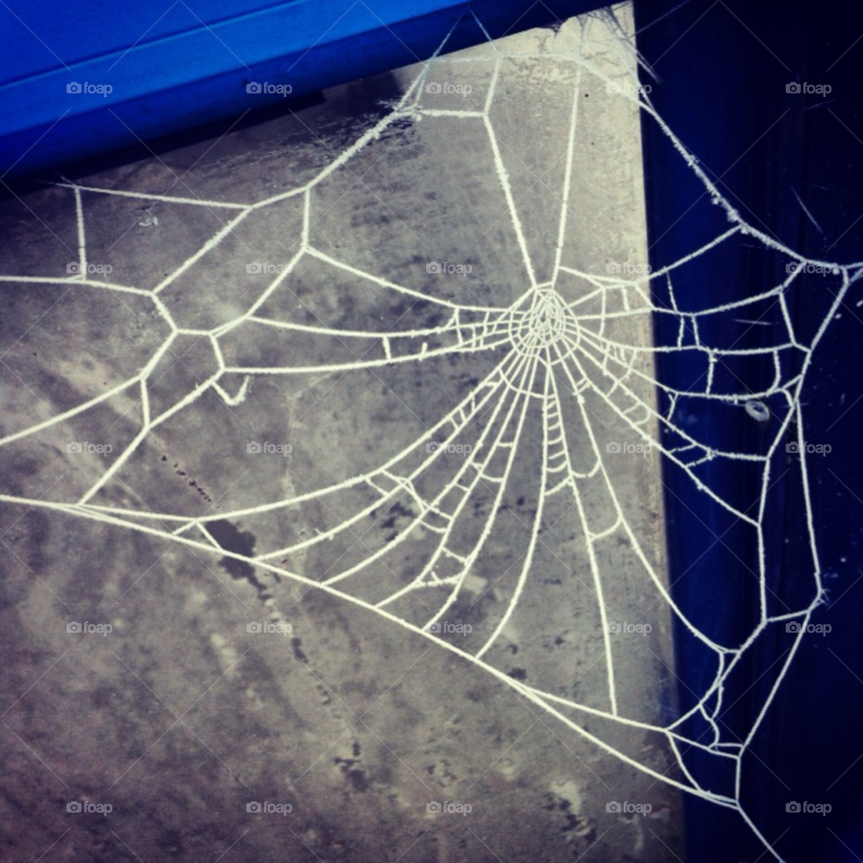 snow winter ice beautiful by Zita