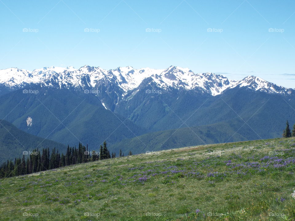Olympic National Park