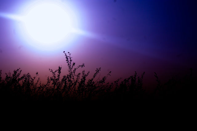 The dark sun