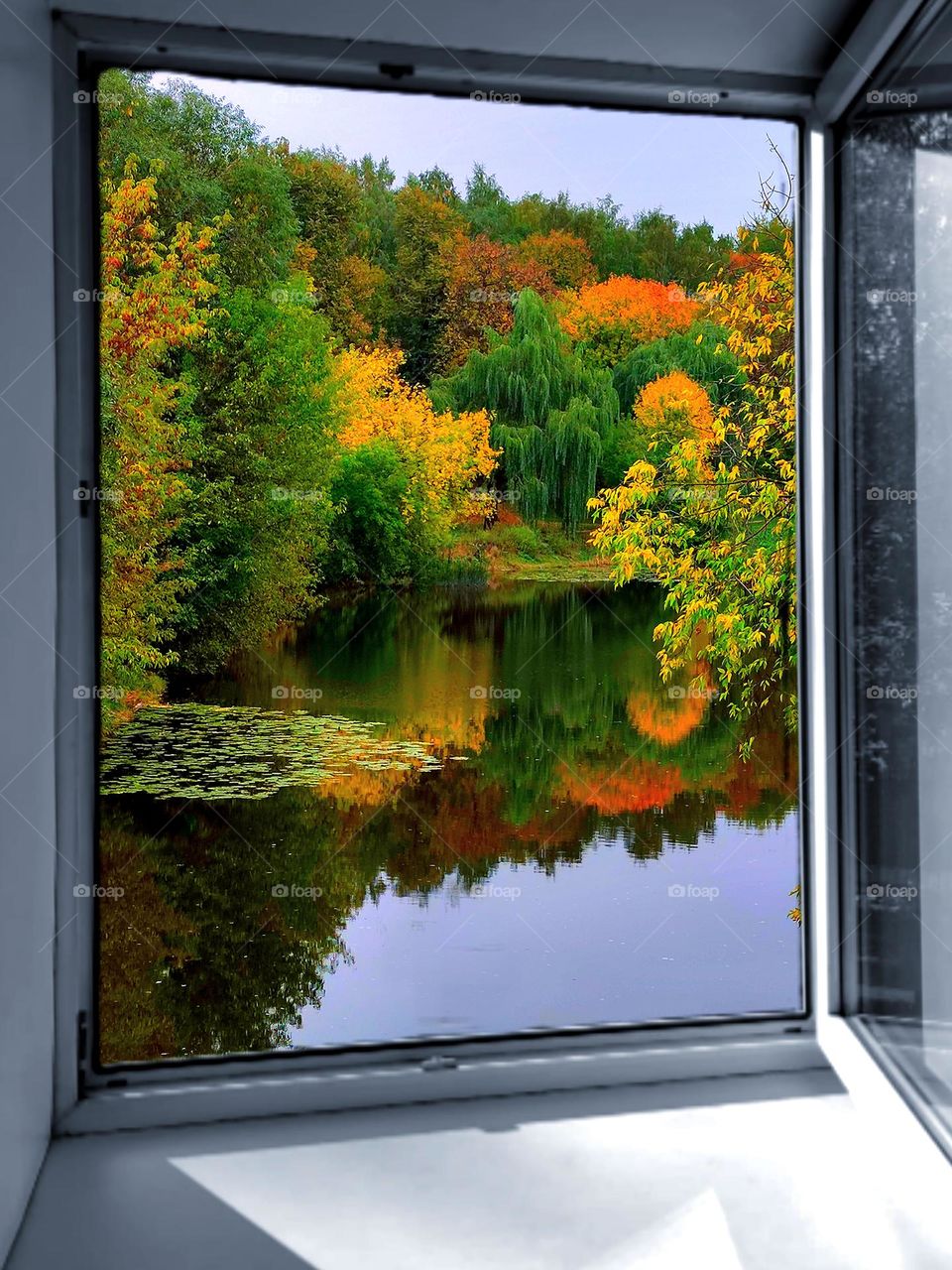 Autumn. Golden time of different colors. In the foreground is a black and white window. Through the open window the river, which reflects the autumn trees growing on the shore