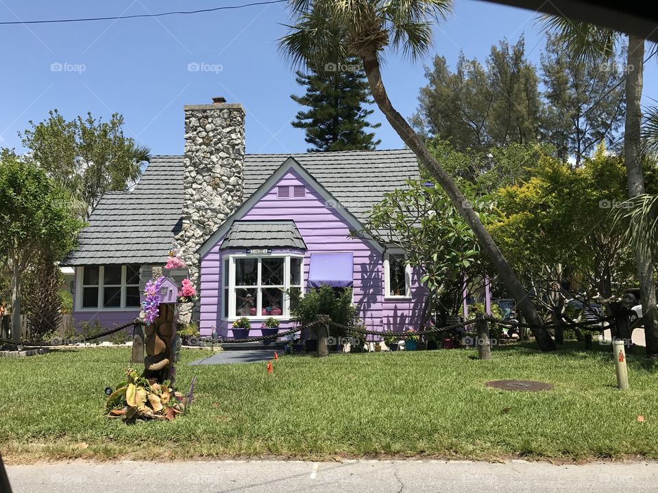 Purple Home 