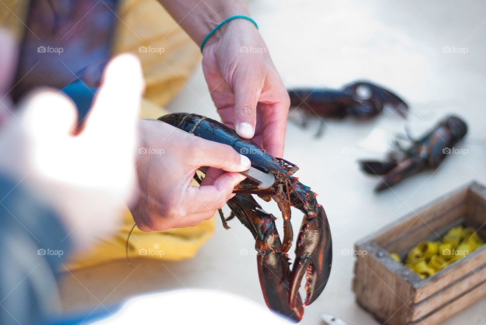 Lobster Being Shown by Fisherman 