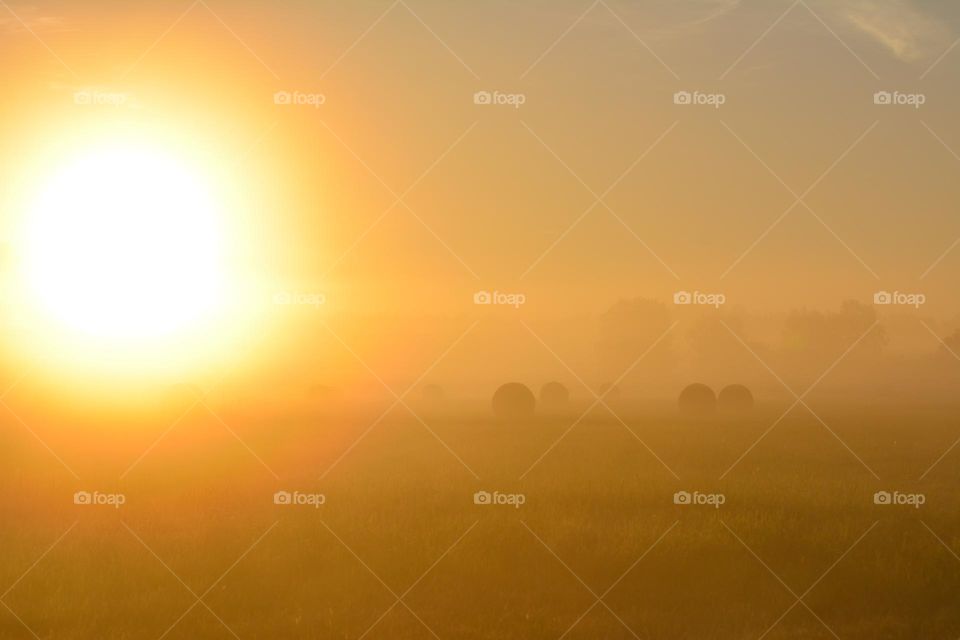 "A beautiful foggy summer morning"