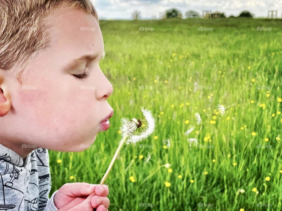 Blowing the dandelion 