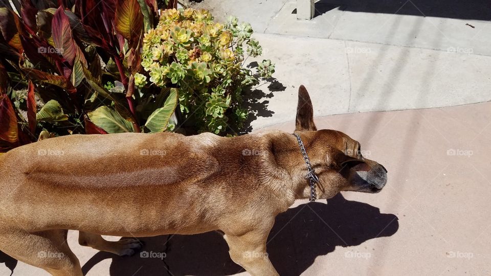 after swimming shake off