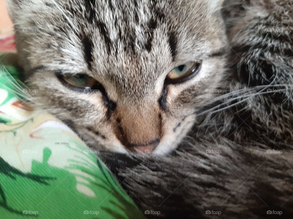 Днём   немного   поспать   надо!