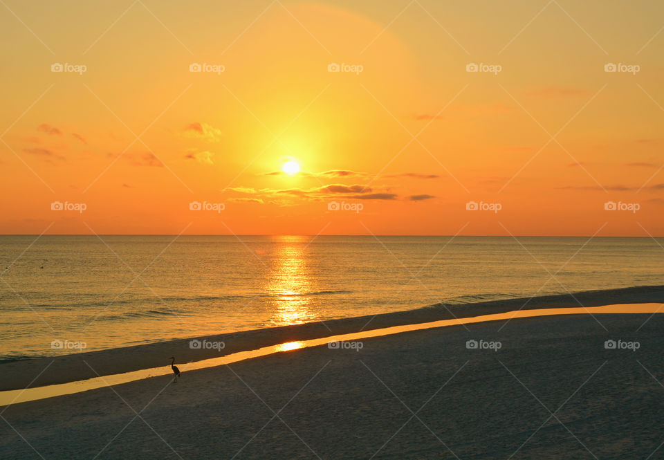 Scenic view of sunset at beach