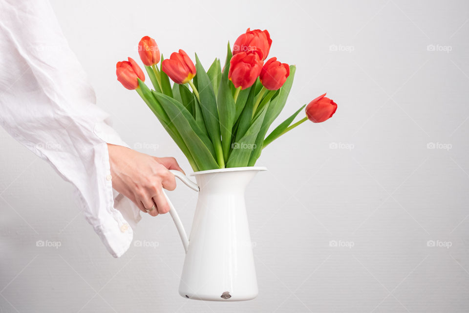 Hand holding white rustic vase with red tulips bouquet 