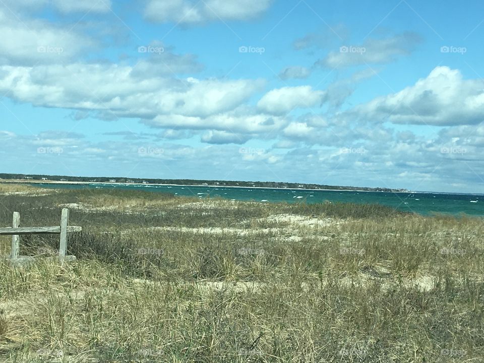 Beach  and dunes 