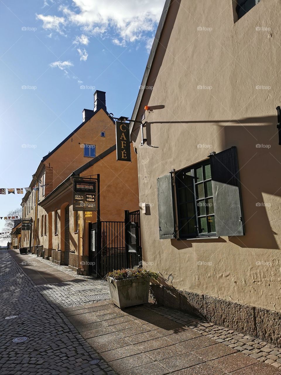 Old houses in the spring sun