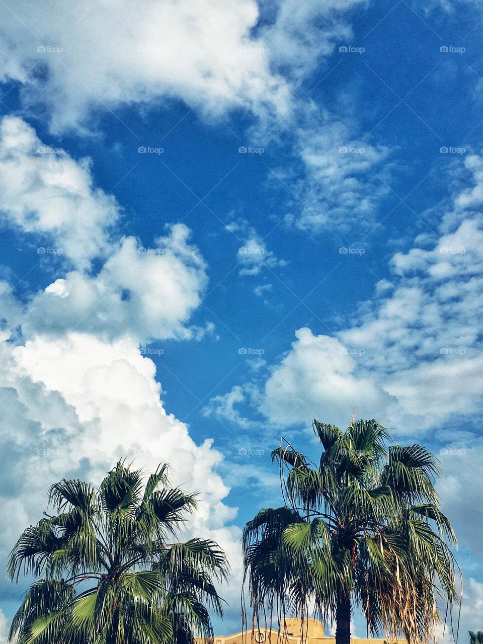 Some of my last work