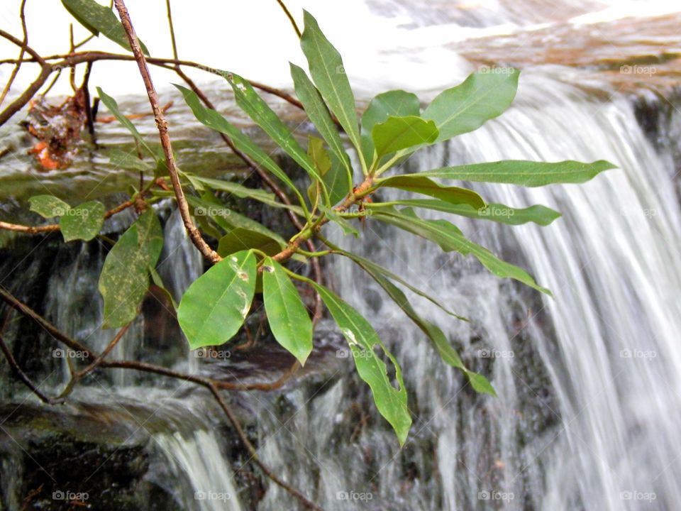 close up of a small section of waterfall with green foliage