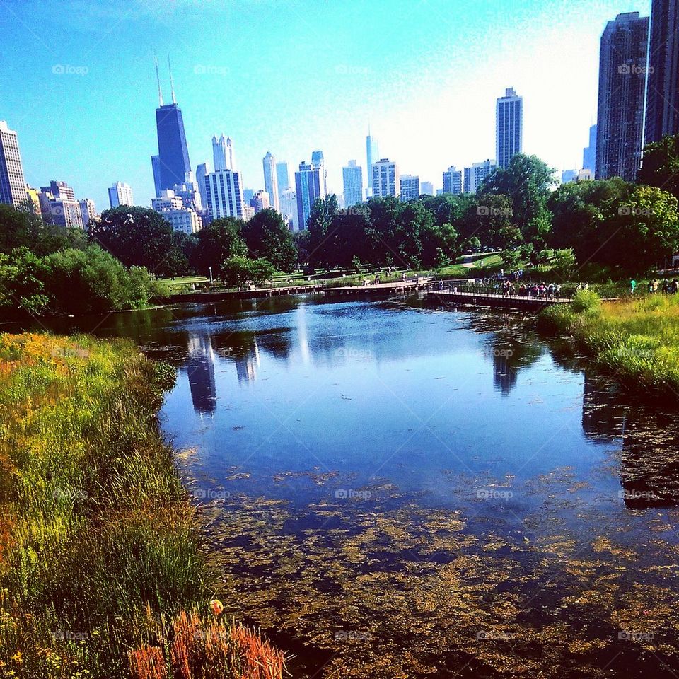 Chicago Skyline 